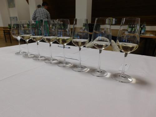Odborná degustácia vín -  37.ročník Verejnej výstavy vín v Čechynciach 2024 - Csehi Borkiállítás szakmai része 2024